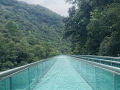 -石台牯牛降景区