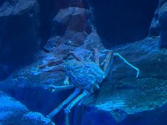 -香港海洋公园