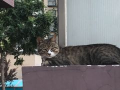 -香满园春饼·家常菜(东大桥店)