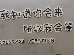 -东极岛景区