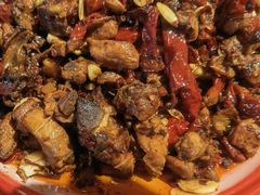 -柴窝堡22号辣子鸡·传承新疆菜