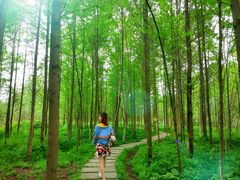 -桤木河湿地公园