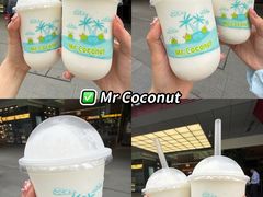 -圣淘沙天际线斜坡滑车
