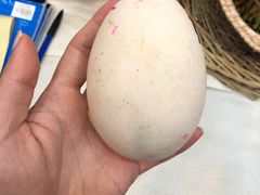 -渝君重庆火锅(嘉宾路店)
