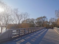 -大兴滨河森林公园