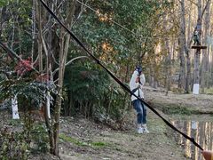 -合肥滨湖国家森林公园