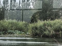 -白洋淀景区