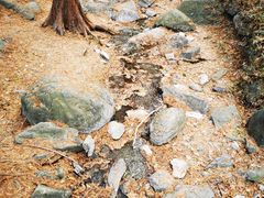 -北京植物园南门售票处