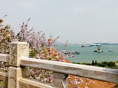-南沙天后宫景区