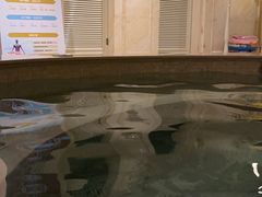 -麓湖国际水疗