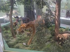 -国家自然博物馆