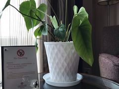 -大榭国际大酒店