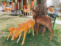 -北京鹿世界主题园