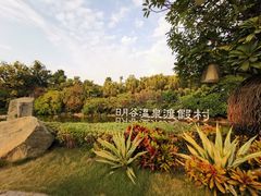 -厦门日月谷温泉渡假村