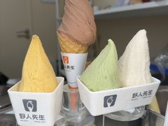 -野人先生现做冰淇淋(北京环宇荟店)