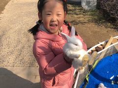 -金宝贝早教(庐阳万象汇中心)