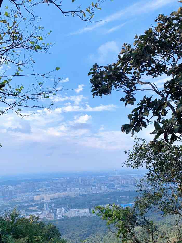 紫金山山頂公園