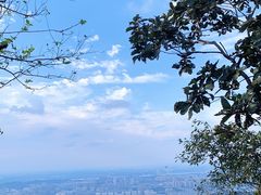 -紫金山山顶公园