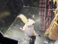 -太平洋海底世界