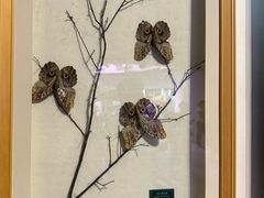 -陕西自然博物馆