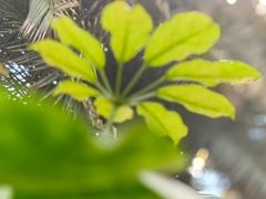 -仁爱团泊湖温泉中心