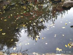 -辽宁大学(崇山校区)