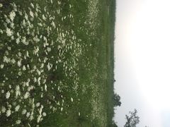 iphone_upload_pic-泗洪洪泽湖湿地景区