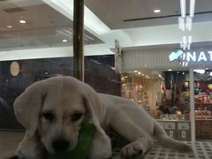 -乐宠宠物店(世纪金源店)