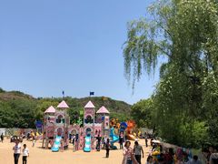-白马涧龙池景区