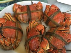 -芸海阁·农家私房菜(沙家浜景区出口店)
