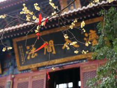 -宝通禅寺
