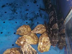 -香山湖渔家大院