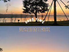 -露天矿生态公园