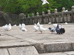 -丹东凤凰山景区