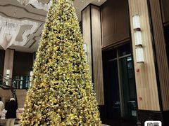 -Social 秀西餐厅-长沙瑞吉酒店(运达店)