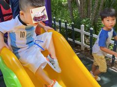 -金点蒙氏国际教育(悠然校区)