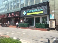 -雨林宠物医院 非犬猫异宠专科