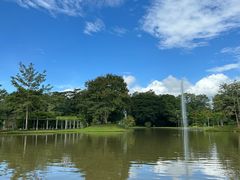 -中国科学院西双版纳热带植物园