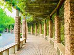 -南开大学滨海学院