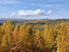 -莫尔道嘎国家森林公园