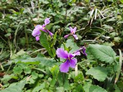 -杭州城北体育公园