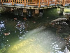 -南宫五洲植物乐园