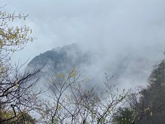 -庐山风景区花径公园