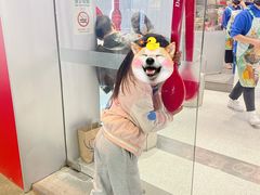-DQ·蛋糕·冰淇淋(五角场万达店)