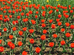 -长春公园(普阳街道)