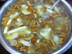 -波密野生菌王酒家
