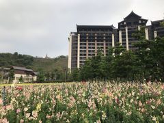 -清远熹乐谷温泉度假酒店