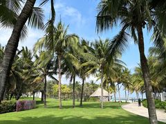 -海南清水湾莱佛士酒店