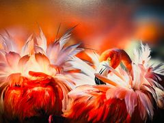 -罗红摄影艺术馆