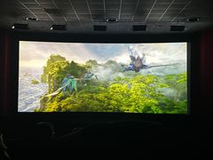 -AMG海上明珠影城(上海环球港RealDCinema店)